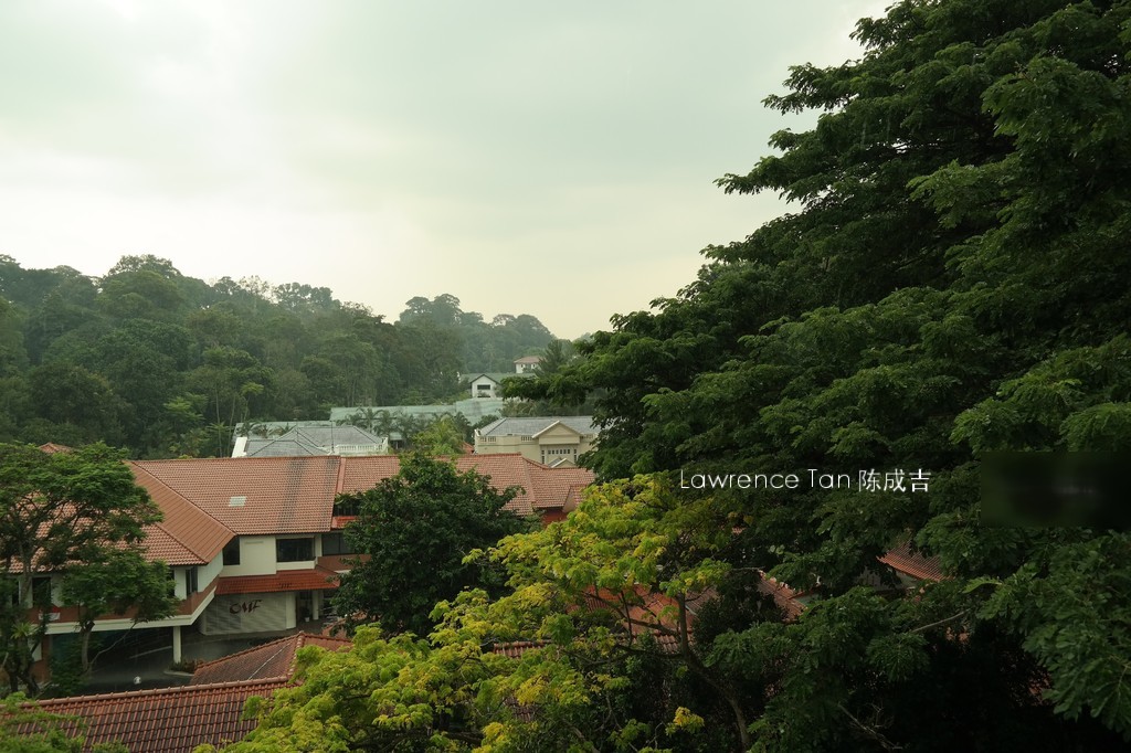 Botanic Gardens View (D10), Apartment #154265552
